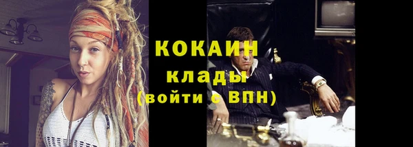 дживик Алзамай