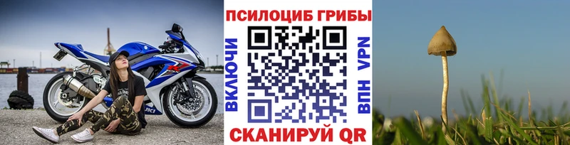 Галлюциногенные грибы GOLDEN TEACHER Керчь